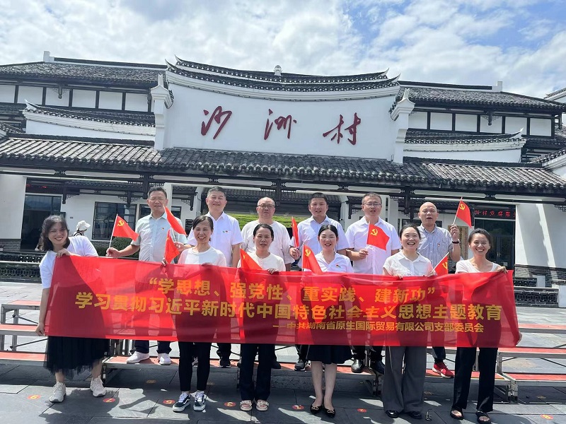 原生國貿黨支部開展“學思想、強黨性、重實踐、建 新功”主題黨日活動