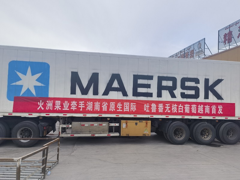 “品牌出海”邁上新臺階丨湖南糧油集團 “芙蓉”牌吐魯番無核白葡萄首發越南